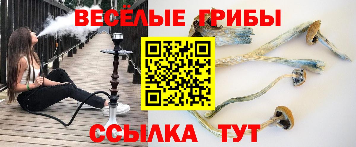 Галлюциногенные грибы Cubensis Каменск-Шахтинский