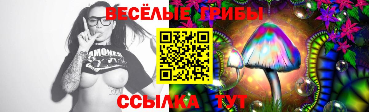 Каменск-Шахтинский  Псилоцибиновые грибы MAGIC MUSHROOMS  Вход с VPN 